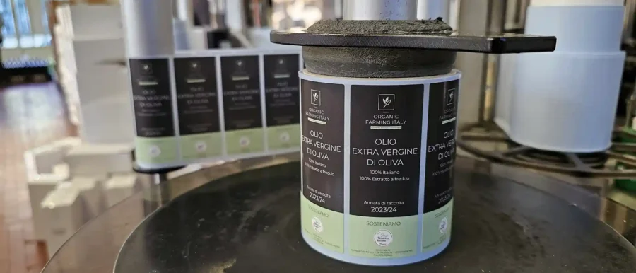 Olivenölproduktion