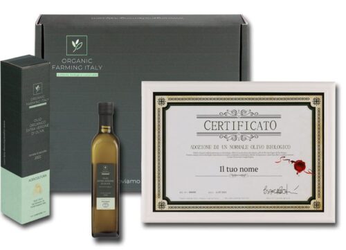 Coffret cadeau pour le parrainage d'un olivier