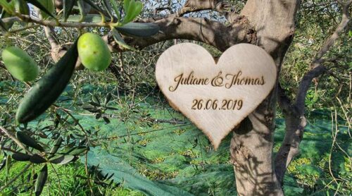 Cadeau de mariage parrainage d'un olivier