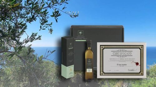 Parrainage d'un olivier Paquet cadeau complet
